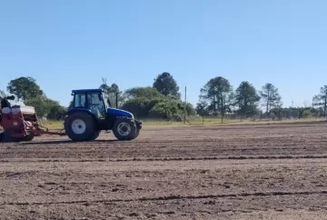 Abertura da Colheita do Arroz 2027: áreas experimentais no RS entram em fase de preparo com forrageiras de inverno