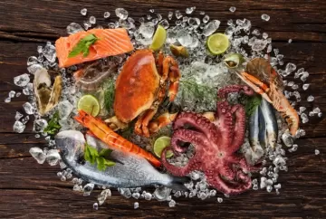 Exportações do Chile para o Brasil somam US$ 897 milhões em 2026 e têm salmão, vinhos e frutas como destaques