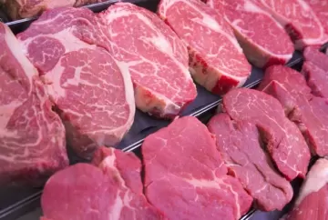 Exportações de carne bovina do Brasil disparam em maio e receita supera US$ 1,3 bilhão
