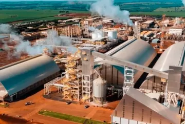 Lucro da São Martinho dispara 64,6% no 4º trimestre da safra 2025/26 e reforça avanço no setor sucroenergético