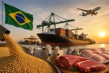 Exportações de soja, carne bovina e frango disparam em maio e reforçam força do agro brasileiro