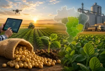 Mercado de sementes de soja entra em novo ciclo no Brasil com avanço tecnológico e consolação regional