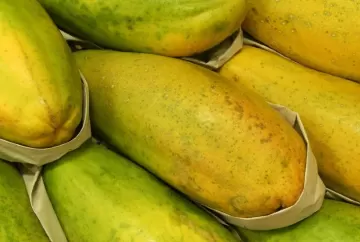 Preço do mamão formosa despenca em Minas Gerais com aumento da oferta e demanda enfraquecida