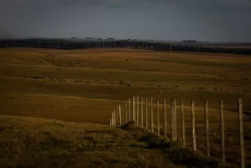 Inadimplência no agronegócio cresce e pressiona avanço de projeto para renegociação de dívidas rurais