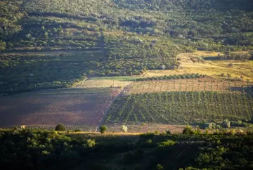 El Niño acende alerta no campo: produtores devem reforçar planejamento financeiro e proteção jurídica
