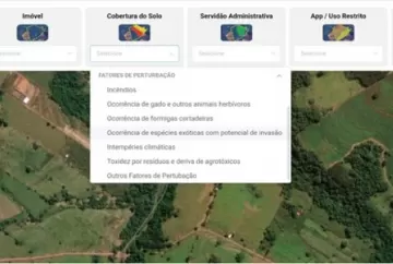 CAR Online ganha nova ferramenta para mapear danos ambientais e reforçar segurança jurídica no campo