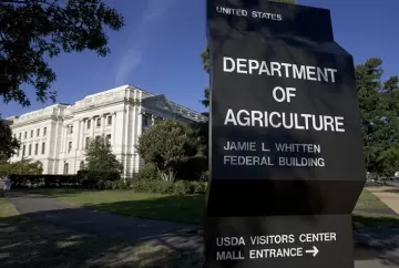 Açúcar: USDA reduz superávit global em 57% e cenário climático reforça expectativa de alta nos preços internacionais