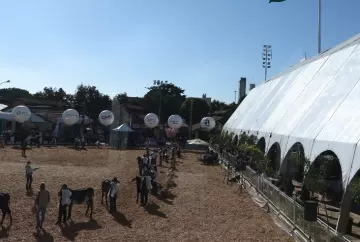 Megaleite 2026 bate recordes de público, negócios e produção leiteira em Belo Horizonte