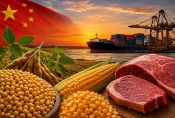 China continua decisiva para o agro, mas influência varia entre soja, milho e carne bovina