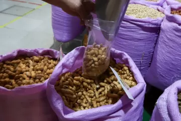 Paraná amplia exportações de carne de peru e acompanha safra recorde de amendoim no Brasil