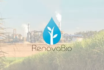 TCU suspende punições do RenovaBio e pressiona mercado de CBIOs
