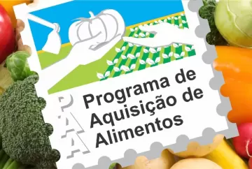 Conab divulga classificação preliminar de 320 projetos do PAA Sementes 2026 com demanda de R$ 124 milhões