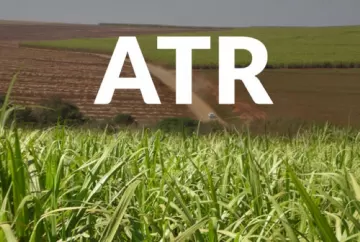 Setor sucroenergético enfrenta pressão com ATR baixo e custos elevados, mas mercado projeta recuperação dos preços