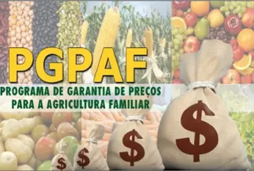 PGPAF: Conab divulga novos descontos para agricultores familiares em junho; abatimentos superam 57%