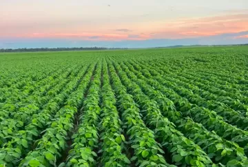 Rastreamento no Agro: avanço necessário ou barreira comercial disfarçada? Debate ganha força no mercado global
