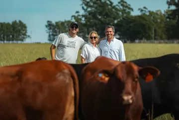 Liquidação da Cabanha Rincon del Sarandy movimenta R$ 21,85 milhões e entra para a história dos leilões de genética bovina no Brasil