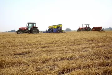 Paraná impulsiona crescimento da safra brasileira e amplia participação na produção nacional de grãos