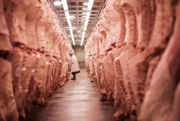 Exportações de carne bovina disparam em junho e receita diária cresce 44%, aponta Secex