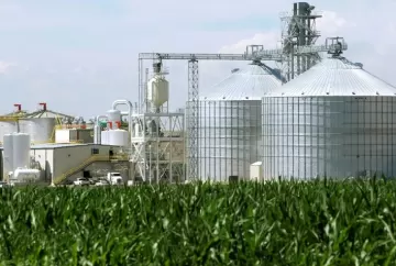 Mato Grosso adia para 2035 o fim do uso de biomassa nativa e amplia metas de reflorestamento