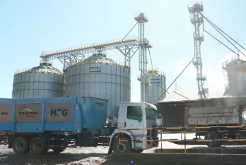 Confinamento de bovinos deve ter oferta favorável de insumos no 2º semestre de 2026, impulsionado por safra recorde de grãos