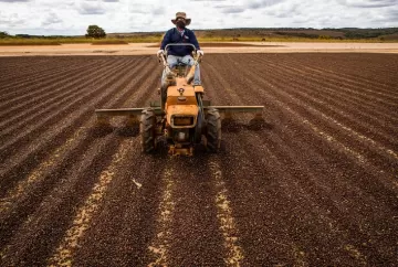 Colheita de café no Brasil avança e atinge 39% da safra 2026/27, com destaque para o conilon