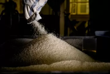 Câmbio favorece exportação e melhora competitividade do arroz brasileiro no mercado internacional