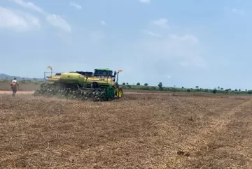 Soja no Tocantins: Fazenda de cooperado da Castrolanda atinge 76 sacas por hectare na safra 2025/26