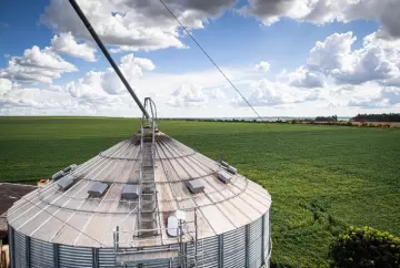 Capacidade de armazenagem de grãos no Brasil cresce, mas segue abaixo do avanço da produção agrícola