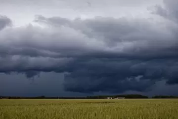El Niño aumenta risco de queda na qualidade do trigo na safra 2026/27 no Brasil, aponta relatório
