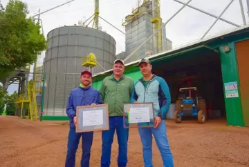 Milho brasileiro bate recorde histórico e ultrapassa 369 sacas por hectare em concurso nacional de produtividade