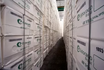 Mercado global de celulose deve reagir no fim de 2026 com queda dos estoques e cortes de produção, aponta Rabobank