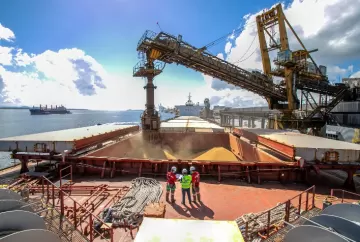 Exportações brasileiras de soja superam 72,7 milhões de toneladas em 2026 e mantêm ritmo forte, aponta ANEC
