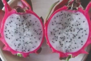 IDR-Paraná desenvolve quatro novas cultivares para impulsionar a fruticultura e aumentar a renda dos produtores