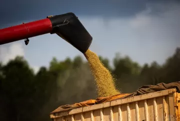 Soja sobe na Bolsa de Chicago, mercado físico reage no Brasil e produtores seguem atentos ao crédito rural