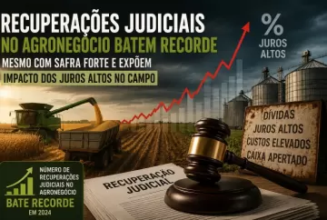 Recuperações judiciais no agronegócio batem recorde mesmo com safra forte e expõem impacto dos juros altos no campo