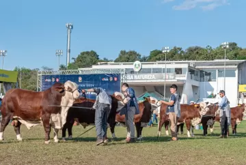 ABHB abre inscrições para a Expointer 2026 e busca ampliar protagonismo das raças Hereford e Braford na pecuária brasileira