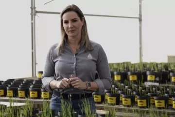 Fertilizantes importados mais caros impulsionam uso de biológicos e manejo nutricional para aumentar eficiência no campo