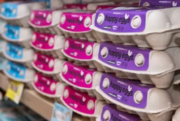 Mantiqueira amplia participação de ovos especiais e mira ranking das maiores produtoras globais