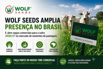 Wolf Seeds amplia presença no Brasil e abre vagas comerciais para a safra 2026/27 no mercado de sementes de pastagem