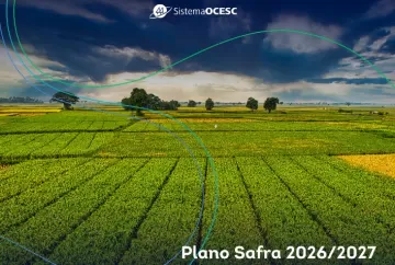 Plano Safra 2026/2027 gera otimismo, mas cooperativismo alerta para redução do crédito e fragilidade do seguro rural