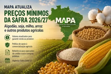 Mapa atualiza preços mínimos da safra 2026/27 para algodão, soja, milho, arroz e outros produtos agrícolas