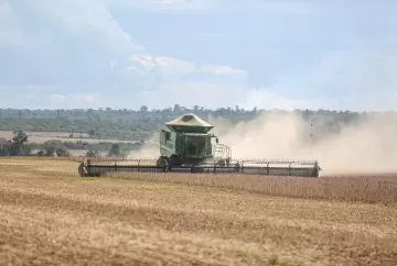 El Niño na safra 2026/27: clima irregular aumenta risco de doenças e exige manejo estratégico nas lavouras