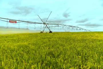 Proirriga terá menos recursos no Plano Safra 2026/2027, mas juros menores para investimentos em irrigação