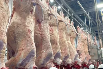 Tarifa da China ameaça exportações de carne bovina do Brasil e frigoríficos já reduzem operações