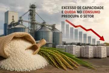 Indústria do arroz enfrenta excesso de capacidade e queda no consumo preocupa setor, alerta analista