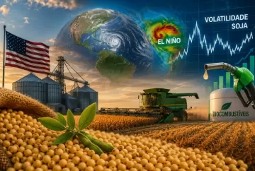 Safra dos EUA, El Niño e demanda por biocombustíveis aumentam volatilidade no mercado global de soja no 3º trimestre
