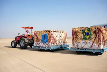 Brasil realiza primeira exportação de gado Girolando para Botswana e amplia presença da genética leiteira na África