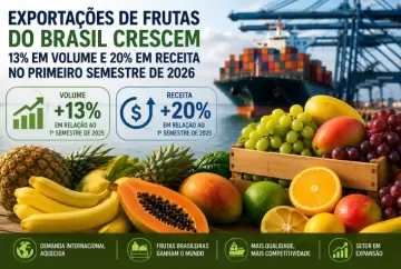 Exportações de frutas do Brasil crescem 13% em volume e 20% em receita no primeiro semestre de 2026