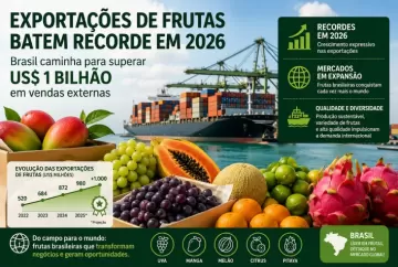 Exportações de frutas batem recorde em 2026 e Brasil caminha para superar US$ 1 bilhão em vendas externas