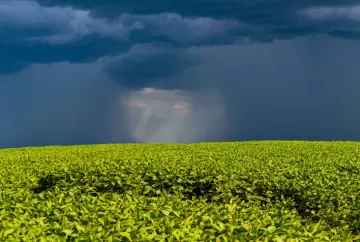 Produtor rural já pode solicitar renegociação de dívidas do crédito rural antes das regras finais do CMN
